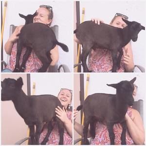 Meet your Posher, Renee